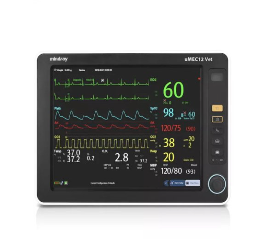 Patient Vital Signs Monitor